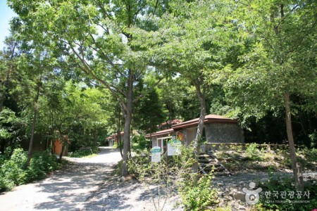 Hoemunsan Recreational Forest 