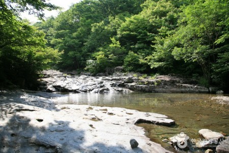 Unjangsan Mountain Natural Recreation Forest (국립 운장산자연휴양림)