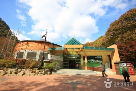 Mt. Naejangsan Visitor Information Center (내장산 탐방안내소)