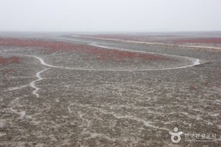 Julpo Ecological Park (줄포자연생태공원)