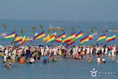 珍島神秘海路