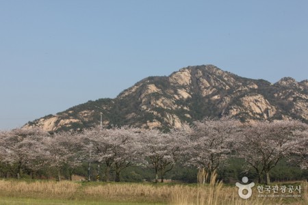 月出山国立公园