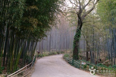 竹林谷主題公園