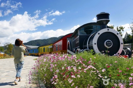 Steam Engine Train and Rail Bike along Seomjingang River 