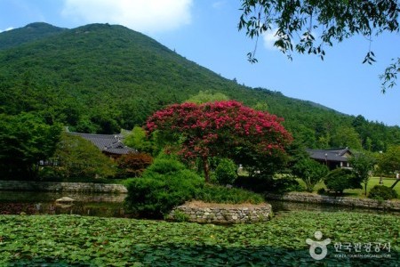 珍島雲林山房