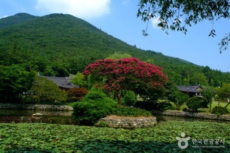 雲林山房