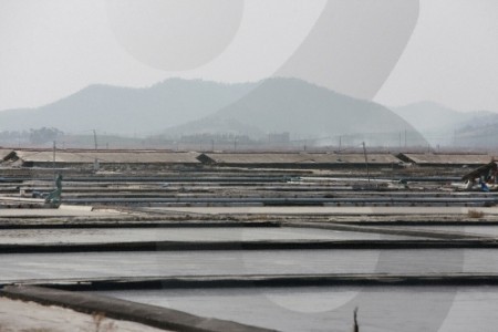 Taepyeong Salt Farm 