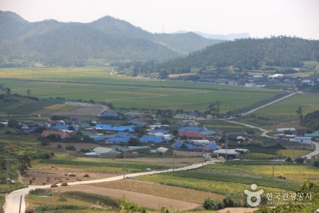 飛禽島