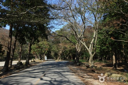 頭輪山道立公園