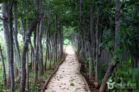 茶山草堂