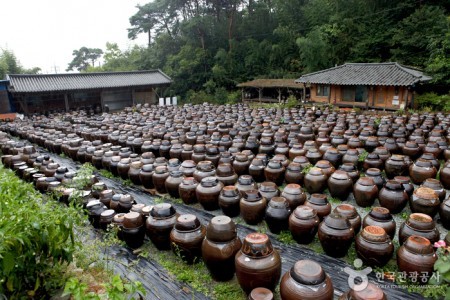 南道飲食文化祭り