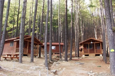 白雲山自然休養林