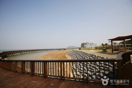 Muan Tidal Wetland Research