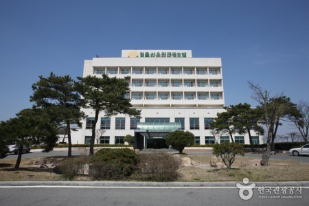 Wolchulsan Spa Tourist Hotel 