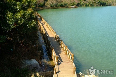 莞島樹木園