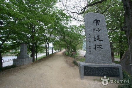 Gwanbangjerim Forest 