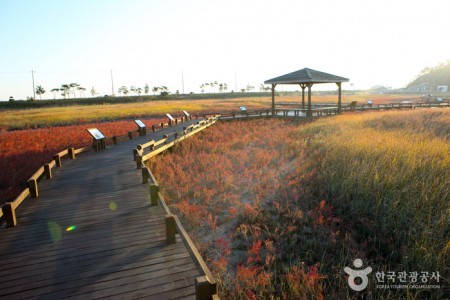 Taepyeong Yeomsaeng Botanical Garden 