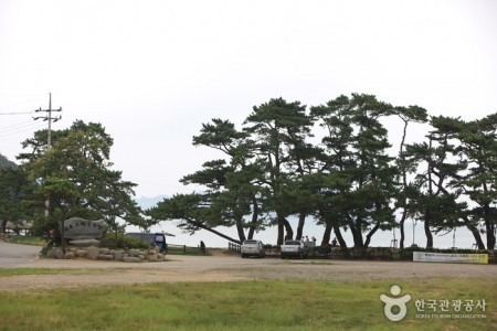 Narodo Wuju Beach 