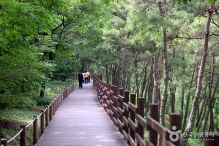 Daegu Arboretum 