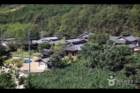 大邱漆谷村