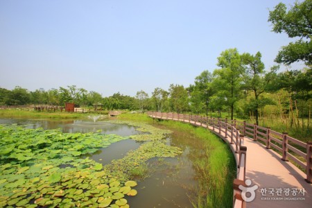 Hanbat Arboretum 