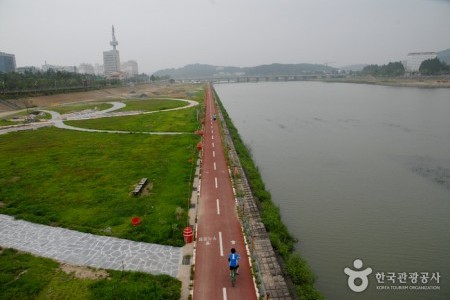 Gapcheon Stream (갑천)