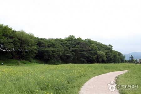 Gyeongju Wolseong Palace Site 