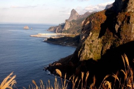 鬱陵島（鬱陵香木 観光モノレール）（울릉도 