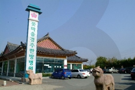 花村慶州韓方醫院