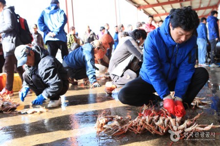 Yeongdeok Snow Crab Festival 