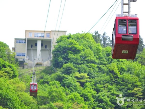 Dokdo Island Observatory Cable Car - Korea Tour | Trippose