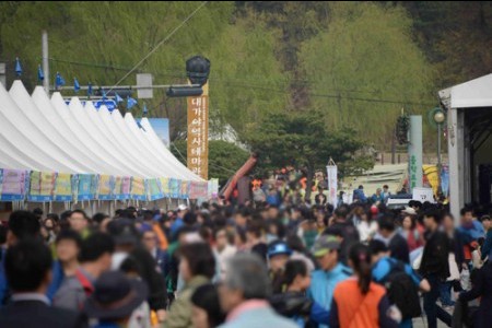 大伽倻体験祭り