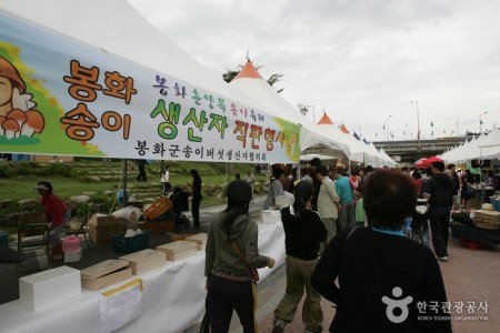 Bonghwa Pine Mushroom Festival 