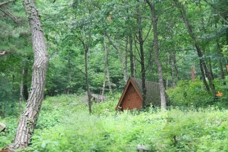 Tohamsan Recreational Forest (토함산자연휴양림)