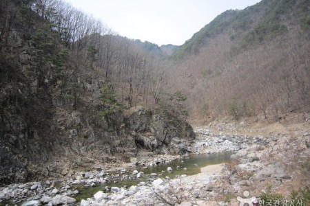 Wangpicheon Valley (왕피천계곡)