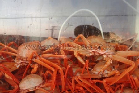 Uljin Snow Crab Festival  