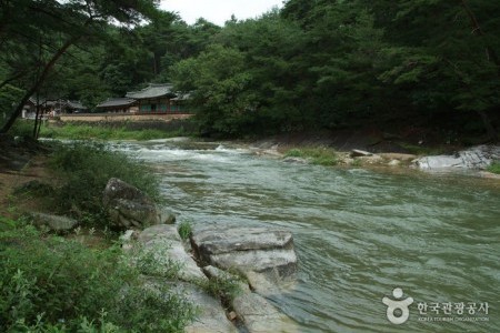 Seokcheon Valley (석천계곡)