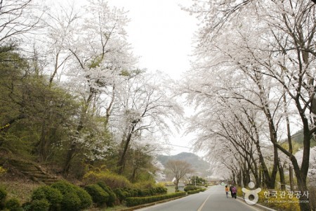 Geumosan Provincial Park 