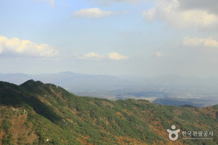 八公山道立公園