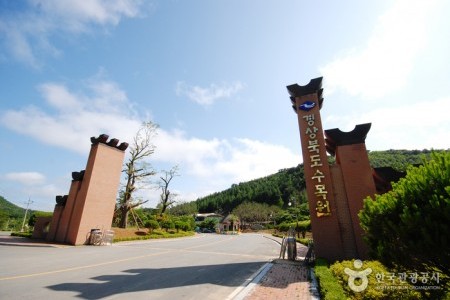 Gyeongsangbuk-do Arboretum 