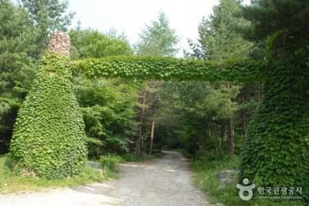 Cheongoksan Recreational Forest (국립 청옥산자연휴양림)