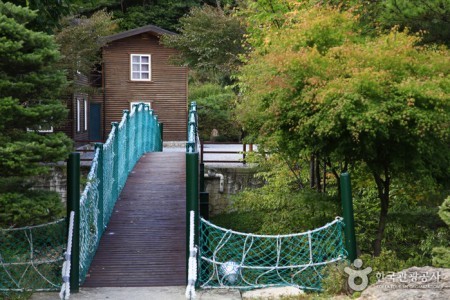 Seongjubong Recreational Forest 