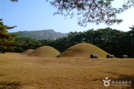 Gyeongju Samneung 