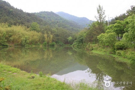 漆谷松亭自然休养林칠곡 송정자연휴양림