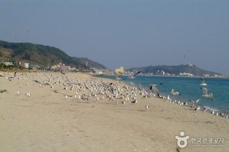 厚浦海水浴場