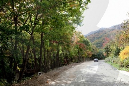 雲門山郡立公園（운문산군립공원）