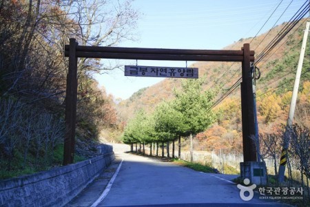 Geumbong Recreational Forest (금봉자연휴양림)