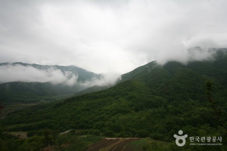 智異山国立公園（山清）（지리산국립공원