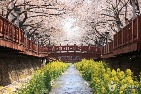 Yeojwacheon Stream 