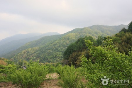 智異山国立公園（河東）（지리산국립공원